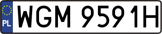 WGM9591H