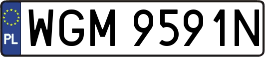 WGM9591N