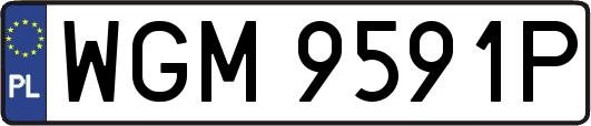 WGM9591P