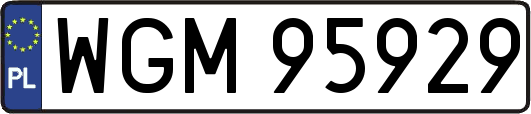 WGM95929