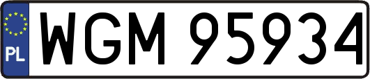 WGM95934
