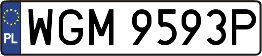 WGM9593P