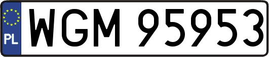 WGM95953