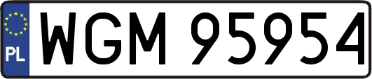 WGM95954