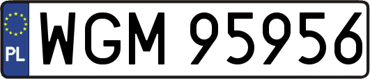 WGM95956