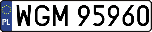 WGM95960