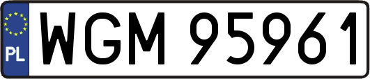 WGM95961
