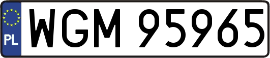 WGM95965