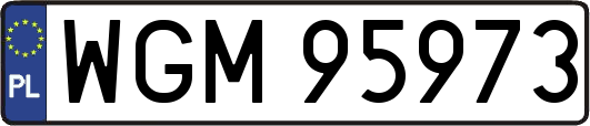 WGM95973
