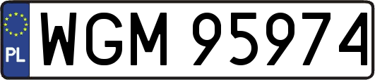 WGM95974