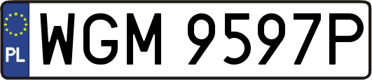 WGM9597P