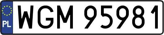 WGM95981