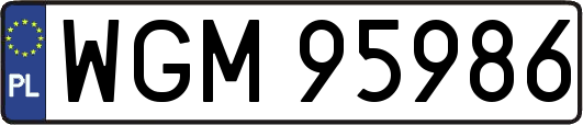 WGM95986