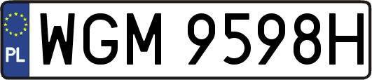 WGM9598H