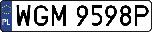 WGM9598P