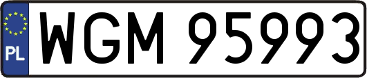 WGM95993