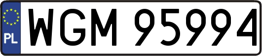 WGM95994