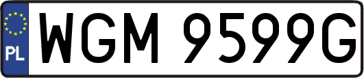 WGM9599G