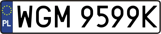 WGM9599K
