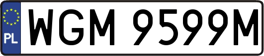 WGM9599M