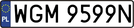 WGM9599N