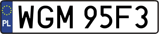 WGM95F3