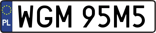 WGM95M5