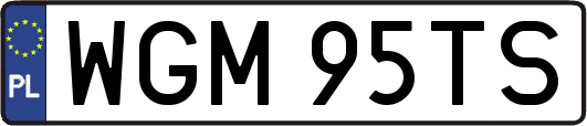 WGM95TS