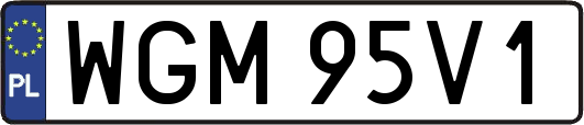 WGM95V1