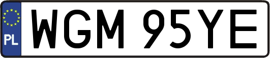 WGM95YE