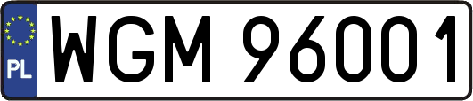 WGM96001