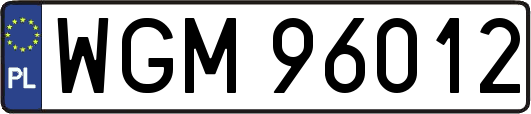 WGM96012