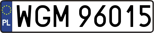 WGM96015