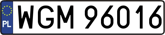 WGM96016