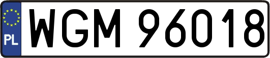 WGM96018
