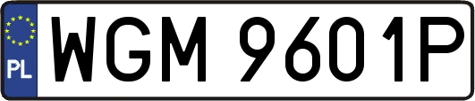 WGM9601P