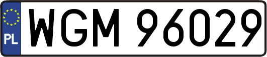 WGM96029