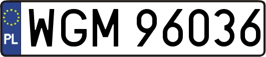 WGM96036