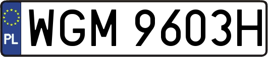 WGM9603H
