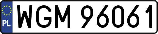 WGM96061