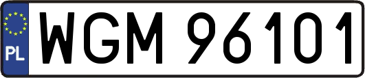 WGM96101