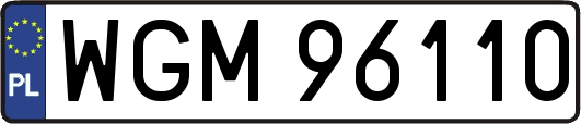 WGM96110