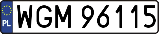 WGM96115