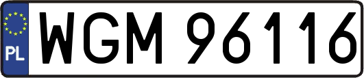 WGM96116