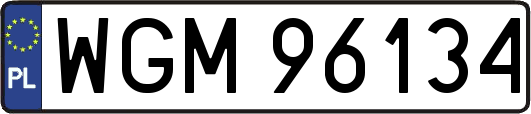 WGM96134
