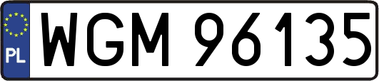 WGM96135