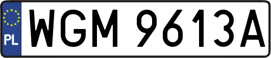 WGM9613A