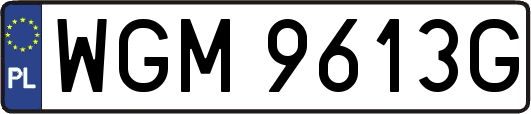 WGM9613G