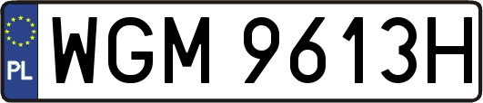 WGM9613H