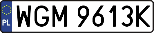 WGM9613K